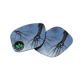 Raydi Polycarbonate Replacement Lenses for Arnette Fire Drill AN4143 Square Sunglasses - Silver Titanium Mirror - Polarized