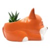 Muna Maceta Cerámica Esmaltada Animales Cactus Suculenta Decorada