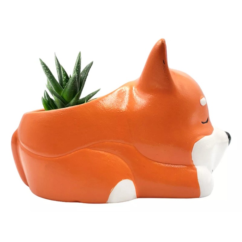 Muna Maceta Cerámica Esmaltada Animales Cactus Suculenta Decorada