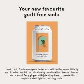 Something & Nothing Ginger & Lime Flavoured Sparkling Water | Lightly Carbonated, Full Flavoured with Added Grape & Lemon Juice | Vegan & Low Calorie Soda | 12 Fl Oz Cans (Pack of 12)