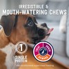 ZIWI Dog Chews and Treats – Beef Weasand - All
