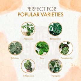 Monstera Plant Food - Organic Liquid Fertilizer for Indoor and Outdoor Monstera Plants - Nutrients for Healthy Tropical Leaves and Steady Growth (8 oz)