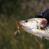 SF Fishing Lure Spinner Baits with Treble Hooks for Bass