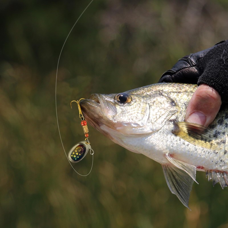SF Fishing Lure Spinner Baits with Treble Hooks for Bass