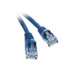 CableWholesale CAT5E Cable with UTP Molded Boot 350MHz 1 Feet
