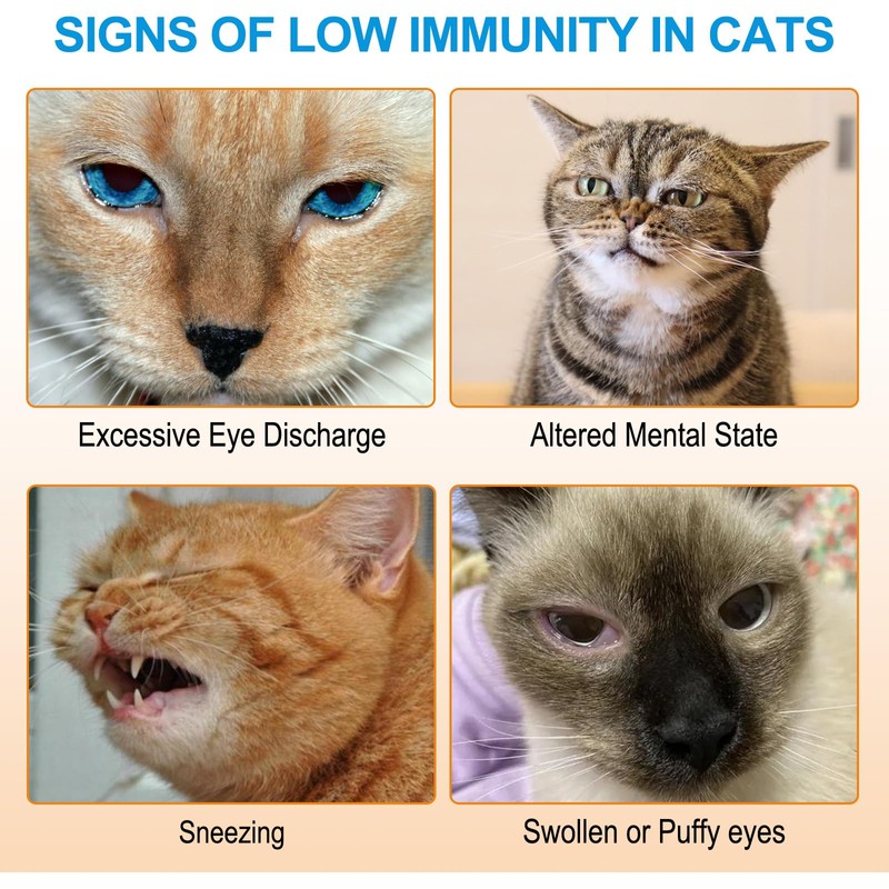 ALIVO L-Lysine for Cats, Lysine Powder for Cats Support Immune