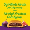 Newtons Soft & Fruit Chewy Fig Cookies, (Fig Bars), 120