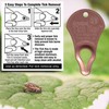 Tick Key Pet Tick Remover, Copper