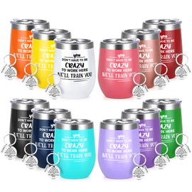 Gtmileo Coworker Christmas Gifts for Women Men, 12 Pcs Don't Have To Be Crazy To Work Here Insulated Wine Tumblers Bulk, Office Gifts For Coworkers Bulk, Work Gifts for Coworker Employee Boss,12oz