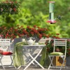 Tube Hummingbird Feeder Hanging Wild Bird Feeder for Outdoor Yard
