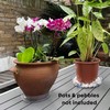 My Homeware Fix 15-Pack Clear Plastic Plant Pot Saucer to