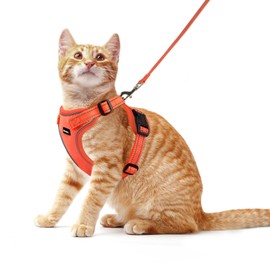 Rttochfy Cat Harness and Leash Set, Adjustable and Reflective Cat Vest, Escape Proof Kitten Harness, Easy to Put on with 3 Buckles for Cats Walking and Traveling (Orange, M)