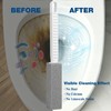 2 Pack Pumice Stone Toilet Bowl Cleaner with Long Handle