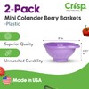 Crisp 2-Piece Mini Colander Berry Baskets With Handles - Food