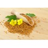 CEMEHA SEEDS - Seeds Yellow Mustard Non GMO Vegetable for