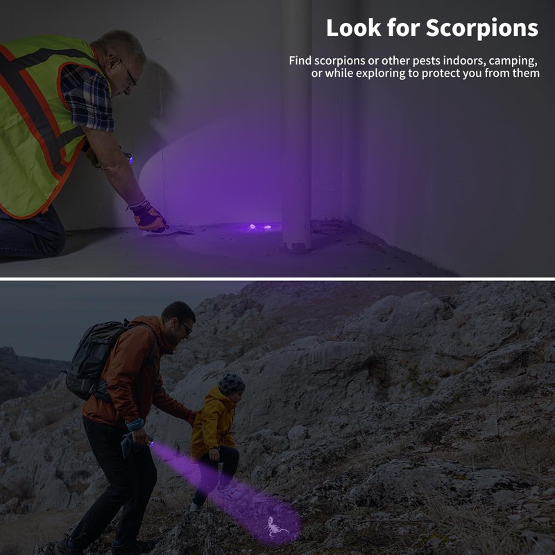 LEAGY 6 Pack UV Ultra Violet Blacklight 9 LED Flashlight