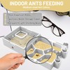 Nest Farm for Live Ants and Queen - Ant Farms