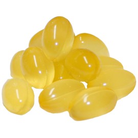 Schecker Derm-Caps 50g (125 Tabs) gegen trockener, schuppiger und juckender Haut stumpfem, glanzlosem Fell bis oder Haarausfall für den Hund