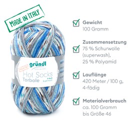 Gründl Hot Socks Torbole (Sock Wool Made of 75% Virgin Wool (Superwash) and 25% Polyamide, 4-Ply Sock Yarn, 100 g / 420 m, Needle Size: 2.5-3 mm, 100 g), Beige-Royal-Burgundy-White-Petrol-Graphite, 45