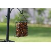Ashman Online 91" Bird Feeding Station Metal Deck Pole Wild
