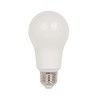 Westinghouse 4514100 Light Bulb