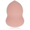 Catrice 2022-02 It Pieces Even Better Make-Up Sponge, Multicoloured, for