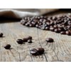 San Francisco Bay French Roast Gourmet Dark Roast 100% Arabica
