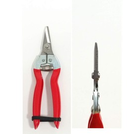 Bonsai Garden Clippers Trimming Shear with Flat Blade for Clipping, Cutting, and Trimming Bonsai Trees and any other Plants. [6.5]