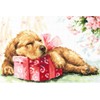 Magic Needle Counted Cross-Stitch Kit Guarding your Gift 59-25