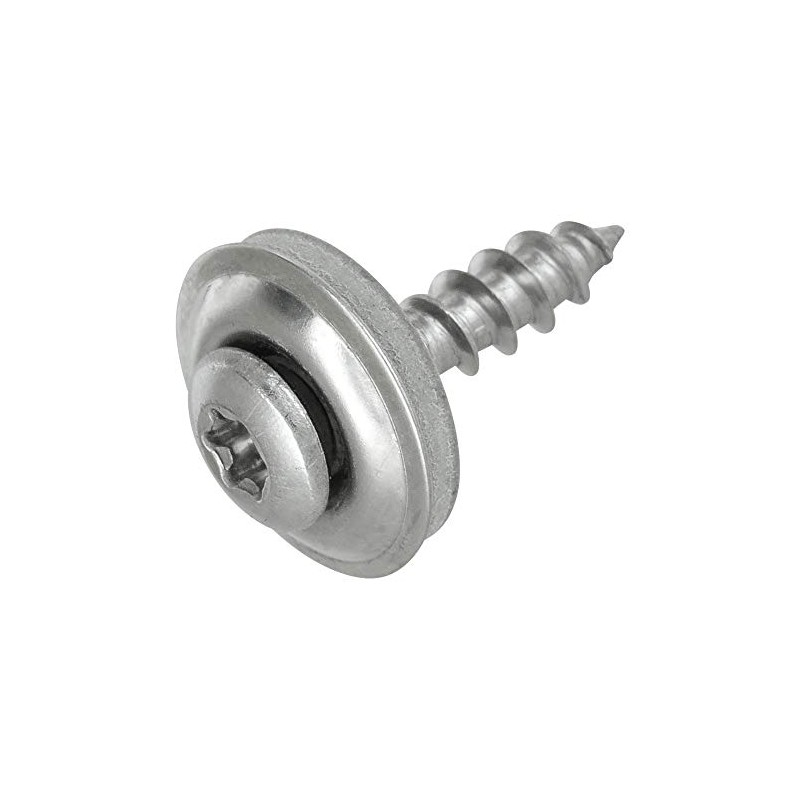 Pack of 100 Spengler Screws 4.5 x 25 Torx |