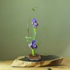 Practical Japanese Round Shape Flower Kenzan Flower Arrangement Holder Needle