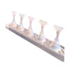 Beauty PLAYER Nail Stand, Tip Stand, Nail Base, Magnetic, Acrylic