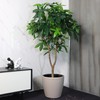Dexceder 15x14 Self Watering Planter with Wheels Indoor Outdoor, Inner