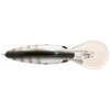 Livingston 072011104 Señuelo de Pesca Deep Impact 18 Real Shad