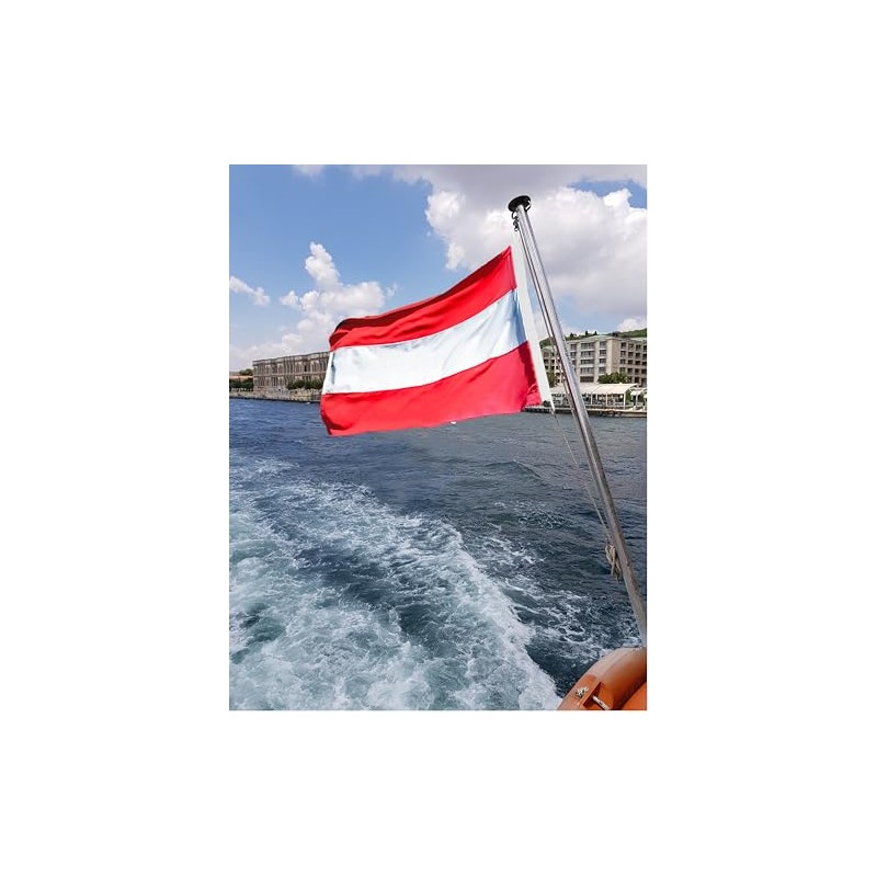 FLAGLY Premium Boat Flag Carinthia 20 x 30 cm -