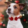 azuza Dog Collar with Adjustable Bow tie for Small Medium