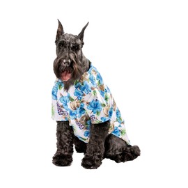 Midlee Blue Hibiscus Hawaiian Dog Shirt (Large)- Summer Big Pet Outfit Beach Pool