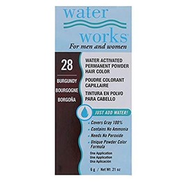 Water Works Hair Color, 28 Burgundy, 0.21 Oz