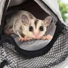 Sweetude 2 Pcs Sugar Glider Bonding Pouch Small Animal Outgoing
