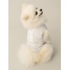 Gelato Pique Cat & Dog PAGG252705 Cooling Wear with Polar