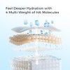 WNP Hyaluronic Acid Serum 3% for Face with 4D Multi-Layer