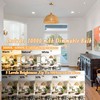 Nekhung Battery Operated Pendant Light with Remote-Battery Chandelier Handwoven Rattan,