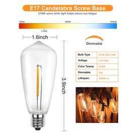 SUNSGNE 25Pack LED Edison Light Bulbs, 0.6 Watt Shatterproof Dimmable Replacement Bulbs ST40 E17 Clear Plastic LED Light Bulbs for Outdoor Patio String Lights, E17/C9 Intermediate Base, Warm White