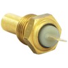 FAE 31150 Coolant Temperature Sensor
