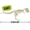 Thames & Kosmos Giant Dinosaur: T. Rex Skeleton Model |