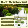 Shrub Fertilizer, Complete Liquid Shrub Plant Food, 1 Gallon (128