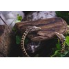 Windalf Ravon Men's Bangle Diameter 6.5 cm Vikings Ravens Odin