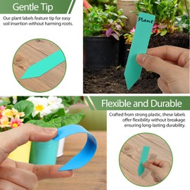 Gucass Pack of 300 Plant Signs with 1 Felt Tip Pen, Plant Stakes for Labelling, Weatherproof, Plug-in Labels, Plant Signs Made of Premium Plastic for Vegetables, Herbs, Flowers (White + Colourful)