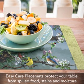 Counterart Beautiful Songbirds 4 Pack Reversible Easy Care Flexible Plastic Placemats Made in The USA BPA Free Easily Wipes Clean