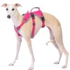 Huntboo Escape Proof Dog Harness, Escape Artist Harness, Reflective Dog